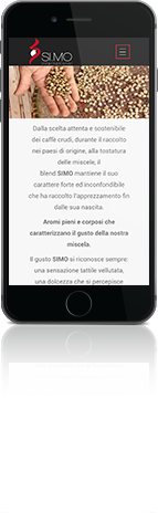 Simo International