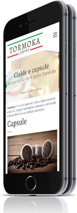 mockup mobile tormoka 1