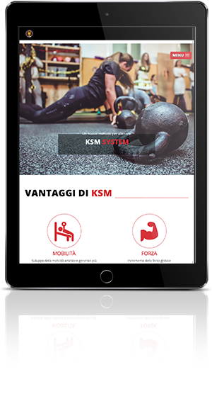 KSM system